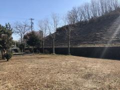 コスモ緑地