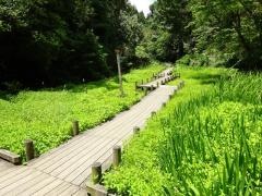 府民の森むろいけ園地