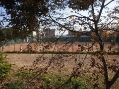 王子南公園