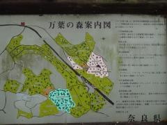 万葉の森