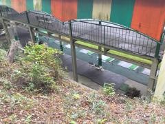 小手指グリーンゴルフ