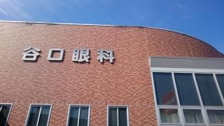 谷口眼科