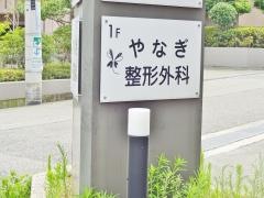 やなぎ整形外科クリニック