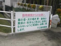 下江動物病院
