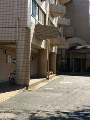 セイワ若松