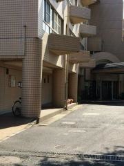 セイワ若松