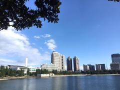 お台場海浜公園