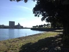 お台場海浜公園