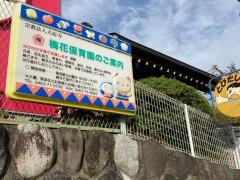 梅花保育園