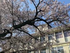 石川小学校