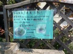茶房大蔵