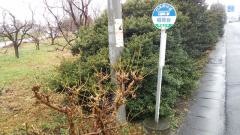 「稲荷台」バス停留所