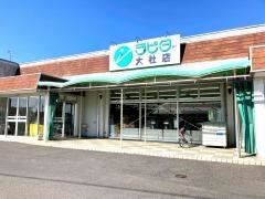 ラピタ大社店