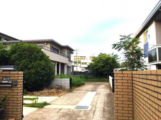 みかんの樹