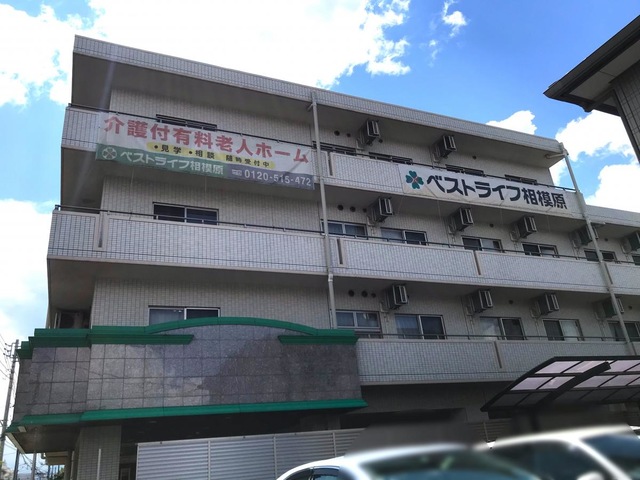 全体