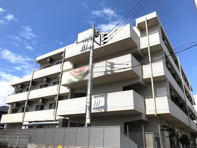 全体