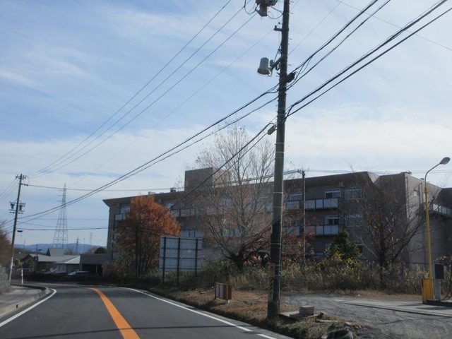 アルマ・マータ
