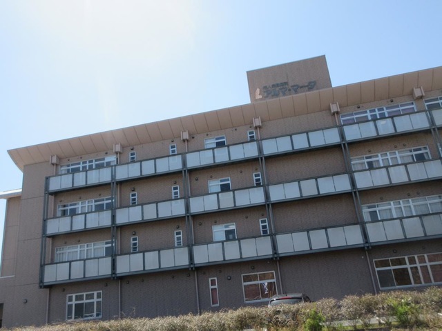 アルマ・マータ