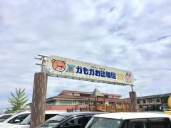 かもがわ幼稚園