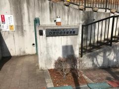 光の子保育園