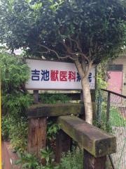 吉池獣医科病院