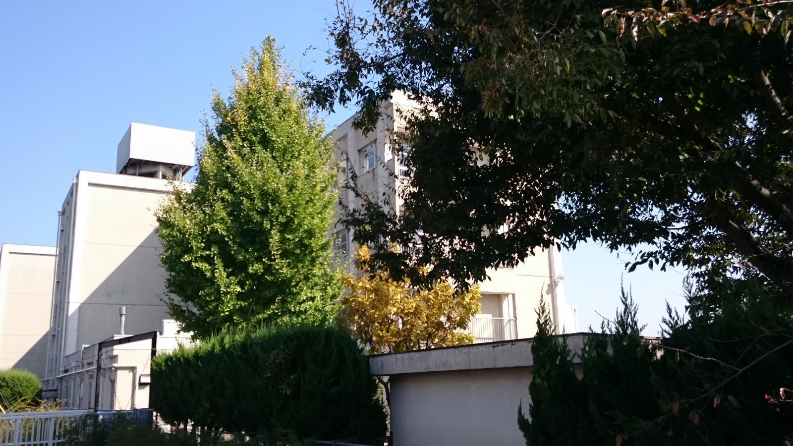 大森北小学校