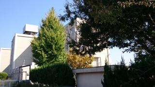 大森北小学校