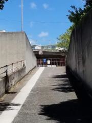 桃山台小学校
