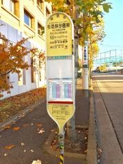 「桜美林学園東」バス停留所