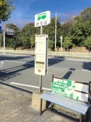 「矢田行基大橋」バス停留所