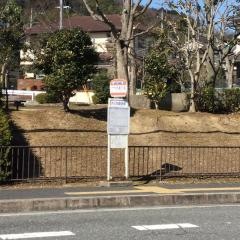 「けやき通り南」バス停留所
