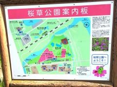 さくら草公園