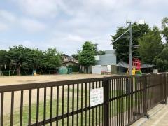 杉の子こども園