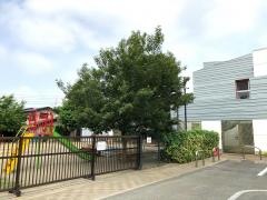 杉の子こども園