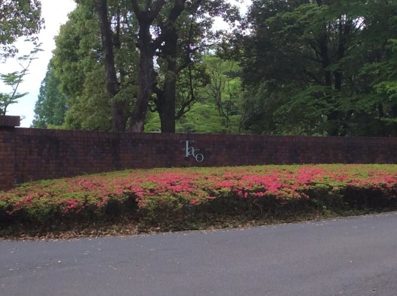 多古カントリークラブに行ってきました。