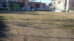 緑の広場42号