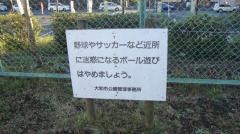緑の広場42号