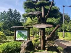 松本カントリークラブ