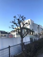 草津中央おひさまこども園