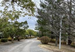 山本山手中央公園