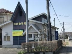 加藤動物病院