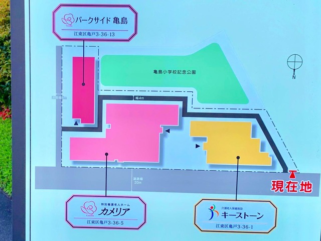 カメリア