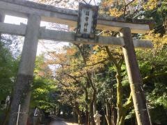 胡宮神社社務所庭園
