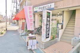 やなぎだ鍼灸整骨院