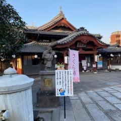 山鹿温泉　さくら湯