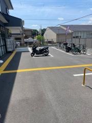 マツモトキヨシ京都衣笠店