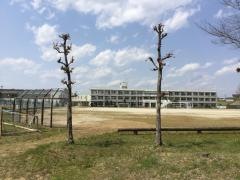 大河原南小学校
