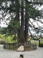 戸隠高原越水ヶ原
