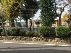桂小学校