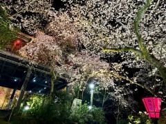 たるの店　山麓苑